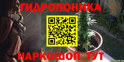 амф Бузулук